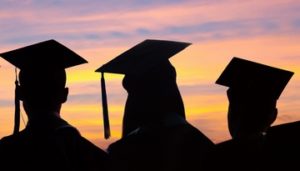 Systerel promoting skill development