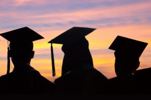 Systerel promoting skill development
